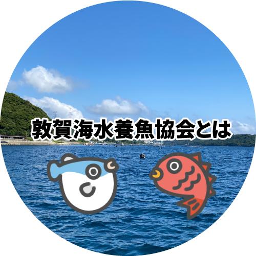 敦賀海水養魚協会とは